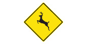 Deer regularly cross this road; be alert for animals