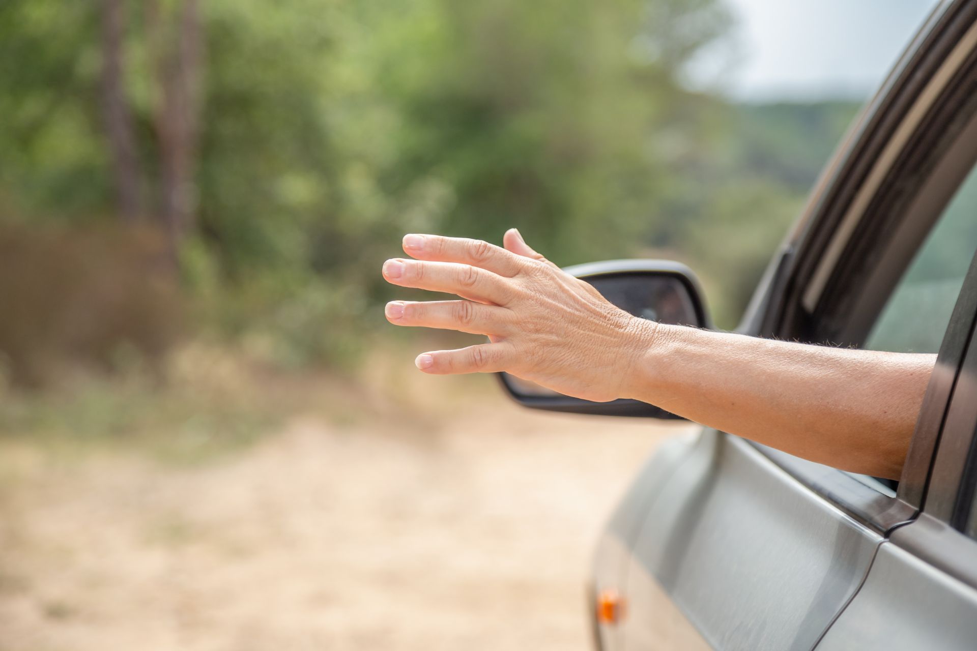 Hand signals for driving